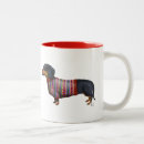 Recherche de teckels tasses Animaux