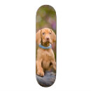 Recherche de photo skateboards Pour elle