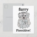 Recherche de animaux familiers cartes postales Chien