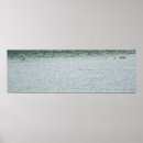 Recherche de canards posters Été