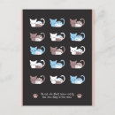 Recherche de lit cartes postales Félin