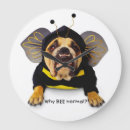Recherche de bouledogues horloges Animaux