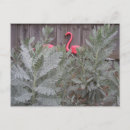 Recherche de arrangement cartes postales Gris