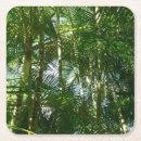 Recherche de palm tree dessous de verres Île