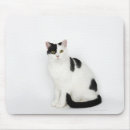 Recherche de taches noires tapis souris Animal
