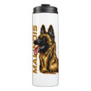 Recherche de malinois tasses Chiot