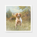 Recherche de bretagne table linges Spaniel breton