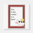 Recherche de vaches magnets Occidental