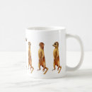 Recherche de merkats tasses Meerkats