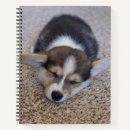 Recherche de corgi carnets Pembroke welsh corgi