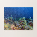 Recherche de corail puzzles Sous marin