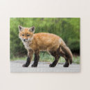 Recherche de fox puzzles Animal