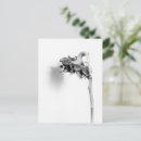 Recherche de déprimé cartes postales Solitaire