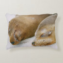 Recherche de phoque coussins Nature