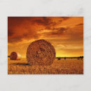 Recherche de sky cartes postales Autumn
