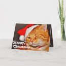 Recherche de chats drôles noël cartes Chaton mignon
