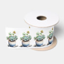 Recherche de plantes rubans Succulent