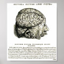 Recherche de human skeleton posters Bones