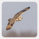 Recherche de hibou en vol autocollants Animal