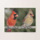 Recherche de cardinal puzzles Vert