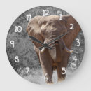 Recherche de éléphant noir horloges Sauvage