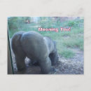 Recherche de sans culottes cartes postales Humour