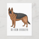 Recherche de chiot berger allemand cartes postales Race de chien