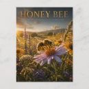 Recherche de abeilles sauvages cartes postales Pour tous
