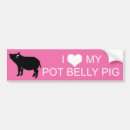 Recherche de pot voiture autocollants Porc