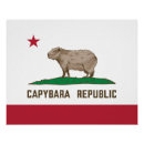 Recherche de capybara Herbivore