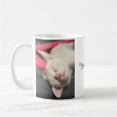 Recherche de amour chaton tasses Pour lui