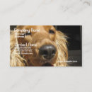 Recherche de chien de cocker cartes visite Chiens