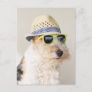 Recherche de terrier cartes postales Humour