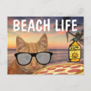Recherche de pizzas cartes postales Chat