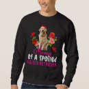 Recherche de mélange de chien Mignon