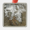 Recherche de nevada ornements En plein air