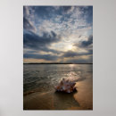 Recherche de coquille de plage art Côte