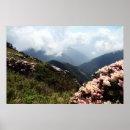 Recherche de paysage alpin posters Nature