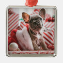 Recherche de français bulldog ornements Vacances