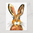 Recherche de lièvre cartes postales Animal