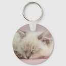 Recherche de chat de ragdoll porteclés Mignon