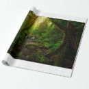 Recherche de asiatique papier cadeau Asie