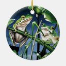 Recherche de grenouille ornements Faune
