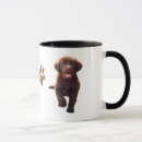 Recherche de chiots tasses Pour tous