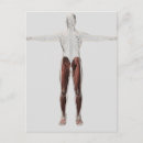 Recherche de homme de jambe cartes postales Illustration