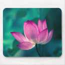 Recherche de fleur nénuphar tapis souris Plante