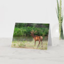 Recherche de chaîne vœux cartes Faune
