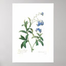 Recherche de myosotis art Floral