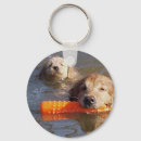 Recherche de goldens porteclés Chiens