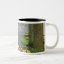 Recherche de keukenhof tasses Européen
